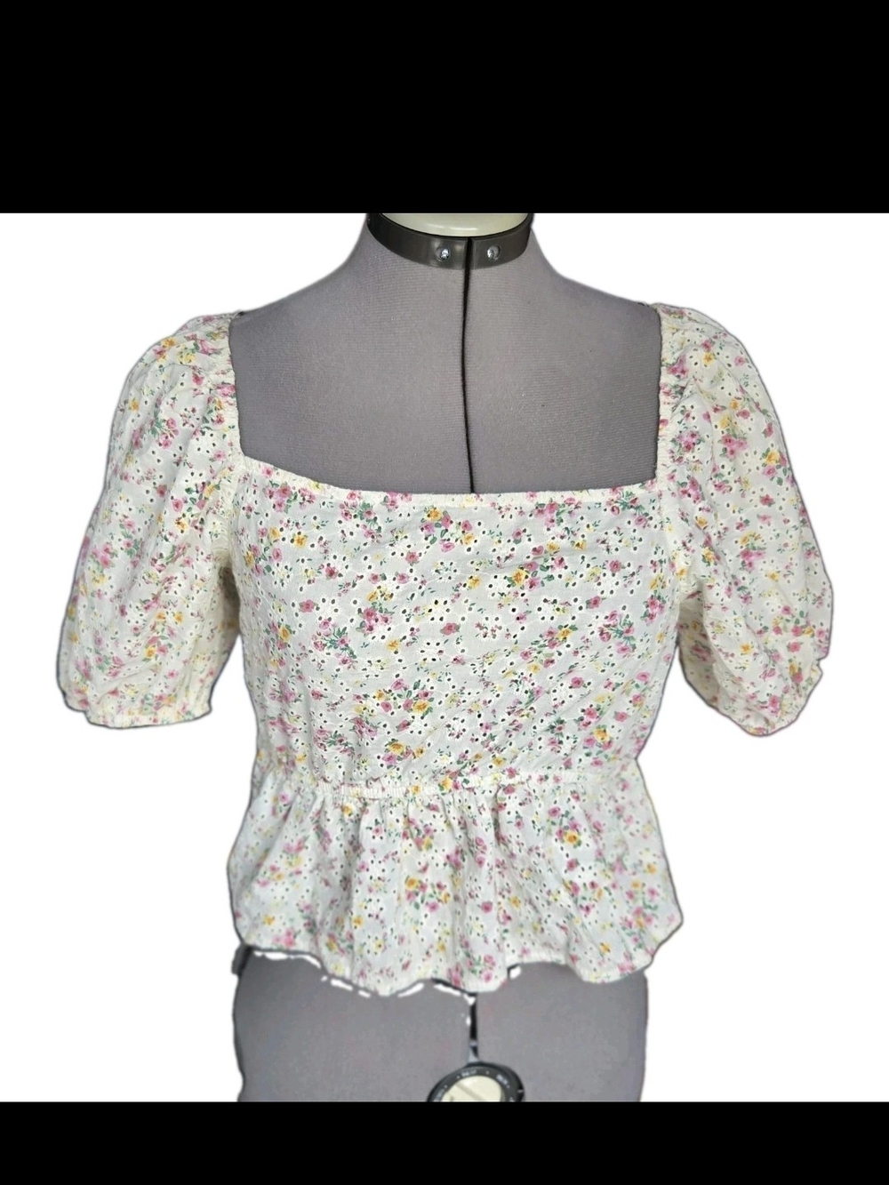 Wild Fable Floral Top Puff Sleeve Cottagecore Peasant Eyelet Crop Top Peplum